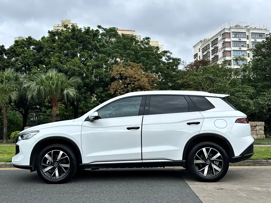 BYD Pro New Energy 2024 — фото 6