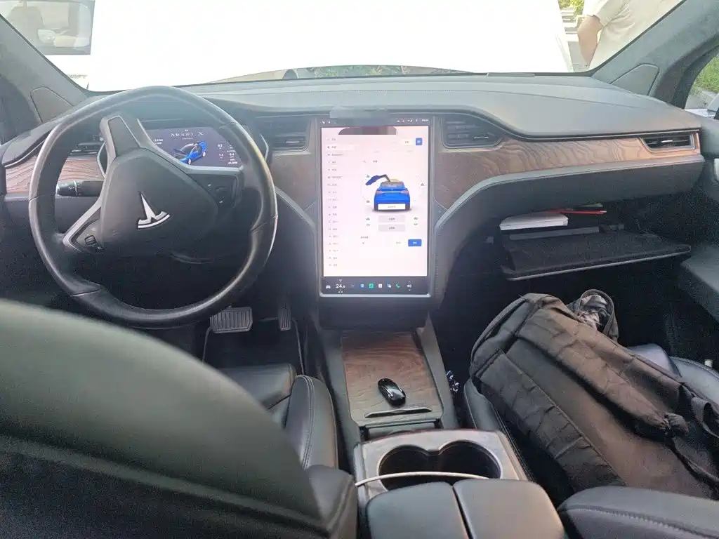 Tesla Model X 2020 — фото 10
