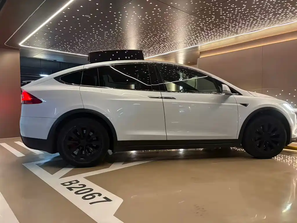 Tesla Model X 2017 — фото 18