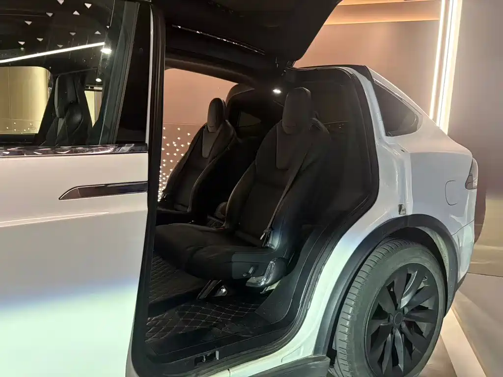 Tesla Model X 2017 — фото 10
