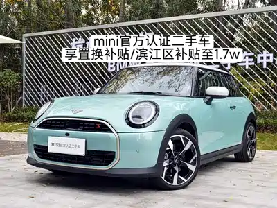 MINI MINI 2025