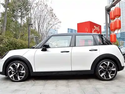 MINI MINI 2025