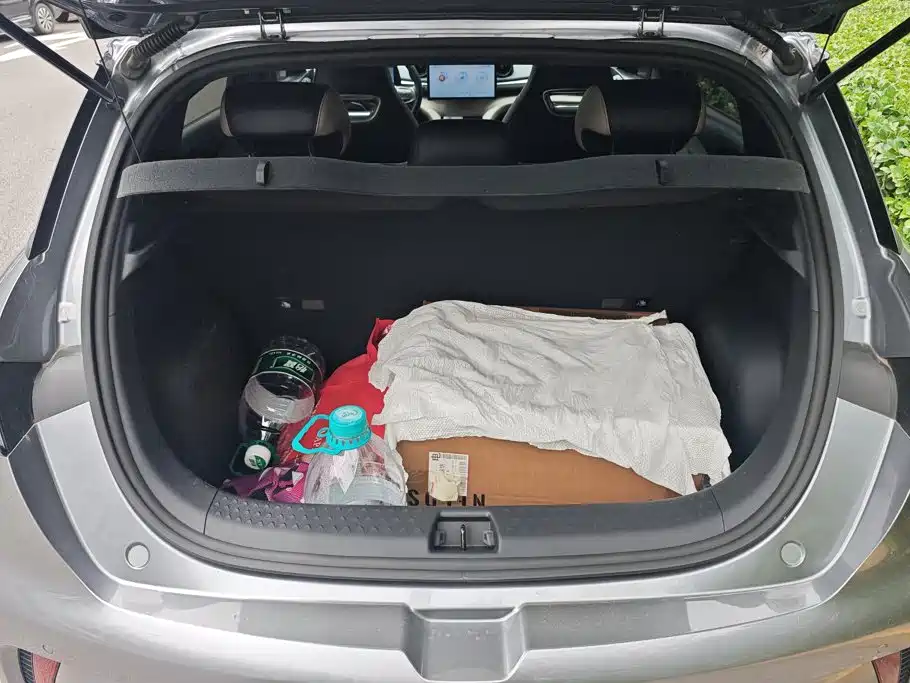 BYD Dolphin 2024