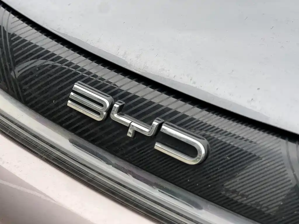 BYD Dolphin 2023 — фото 10