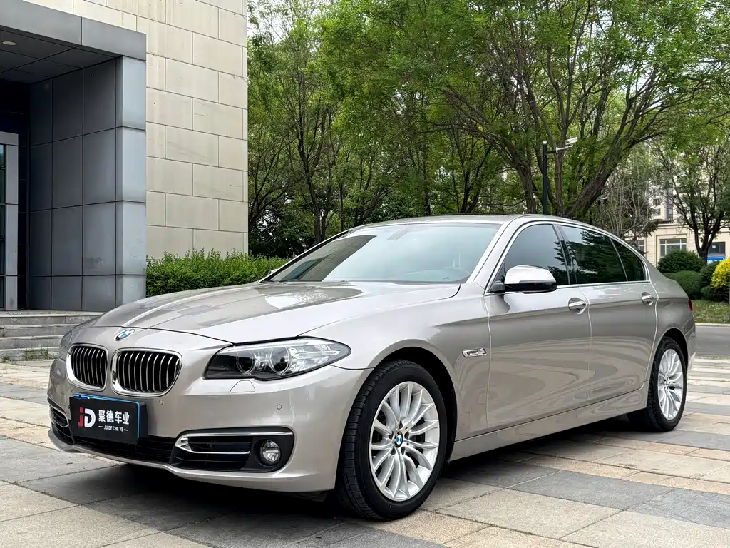 BMW 5 Series 2014 — фото 1