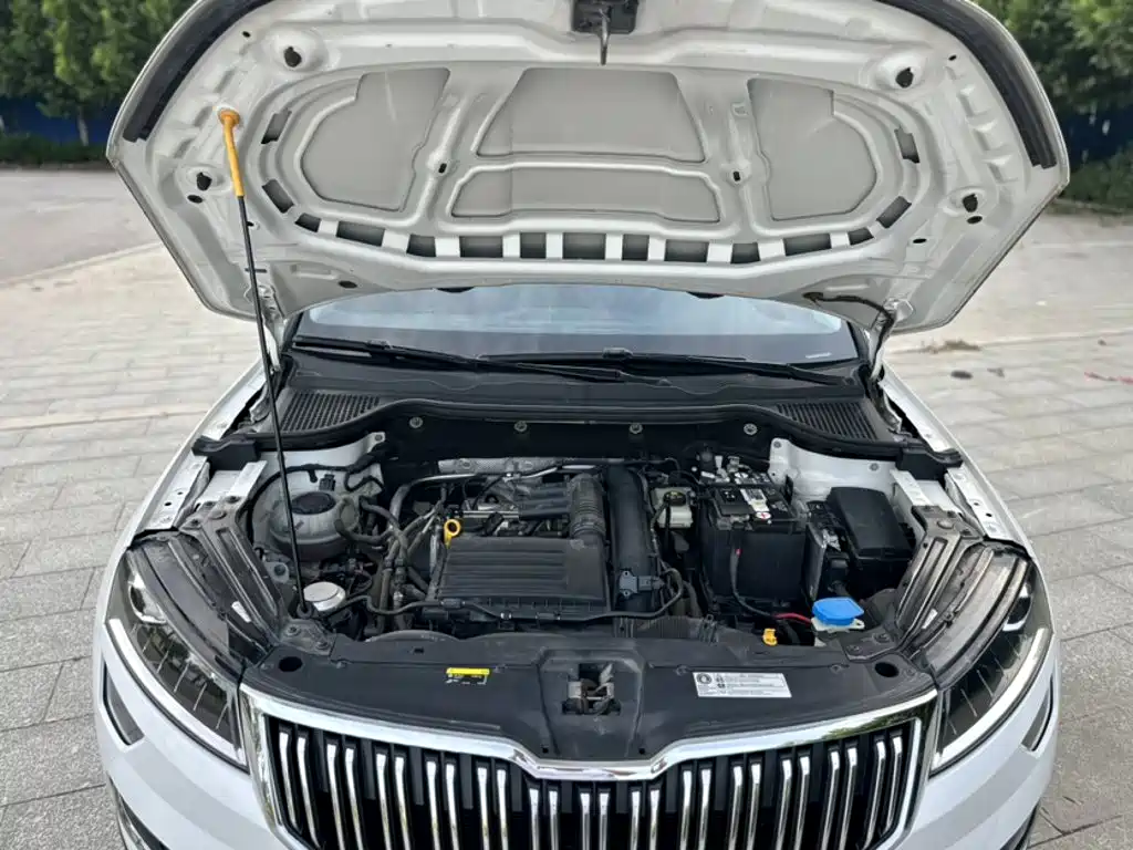 Skoda Karoq 2020 — фото 17