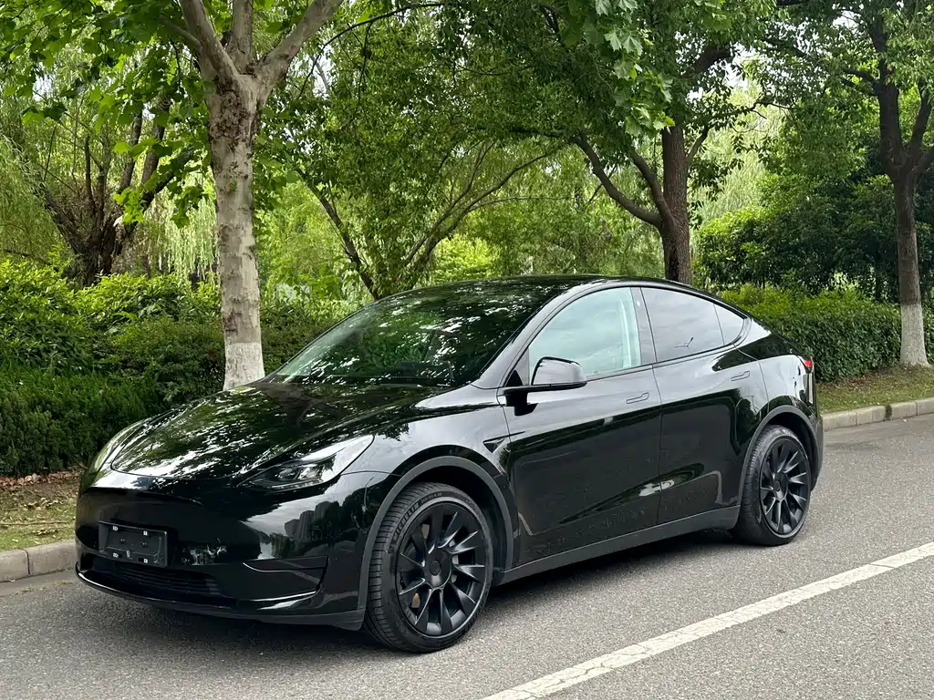 Tesla Model Y 2023 — фото 1