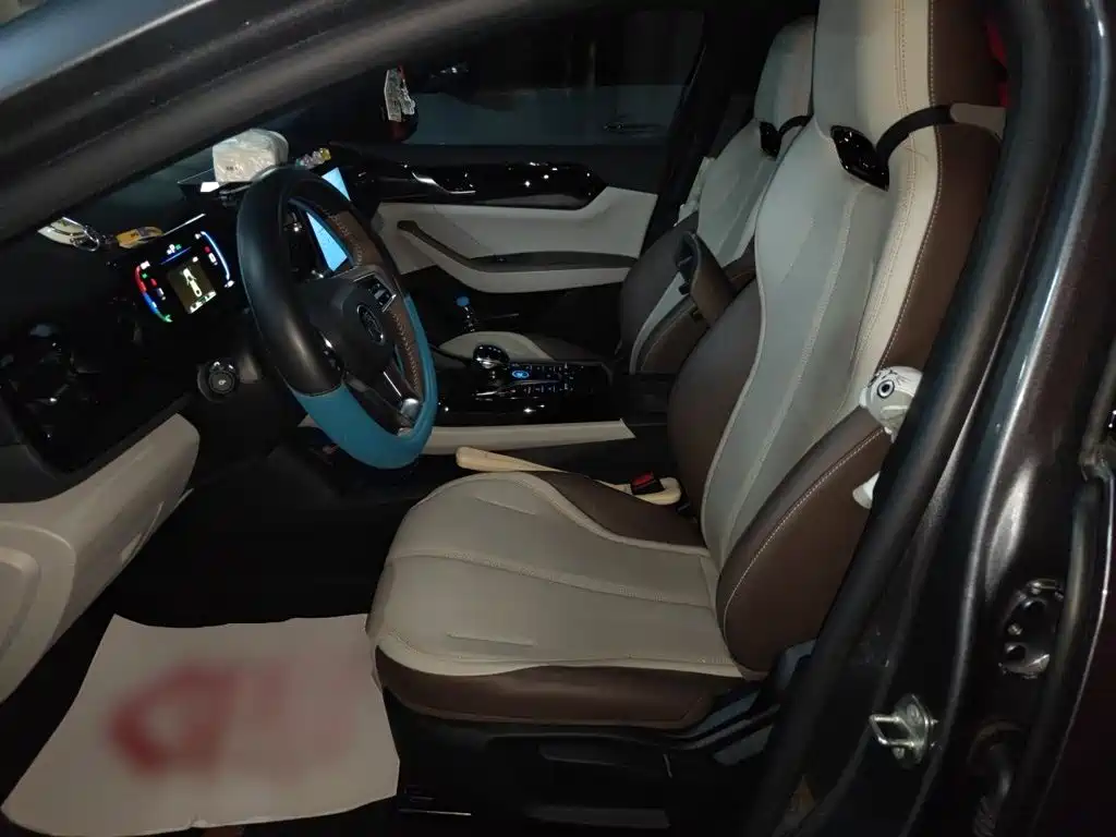 BYD Qin PLUS 2025 — фото 11