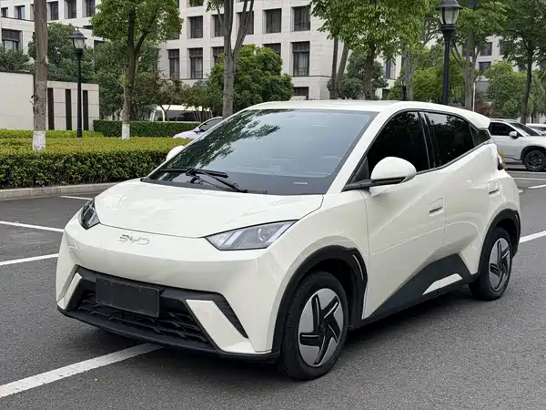 BYD Seagull 2024