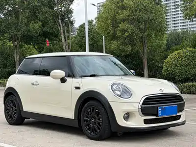 MINI MINI 2020