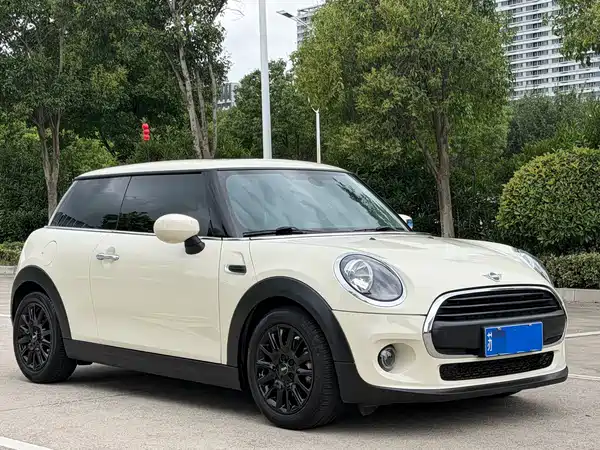 MINI MINI 2020