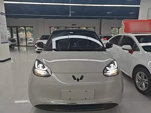 Wuling Bingo 2024
