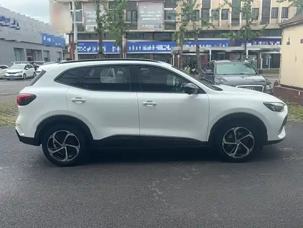 MG Pilot 2021
