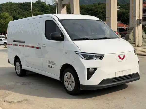 Wuling Yangguang 2024