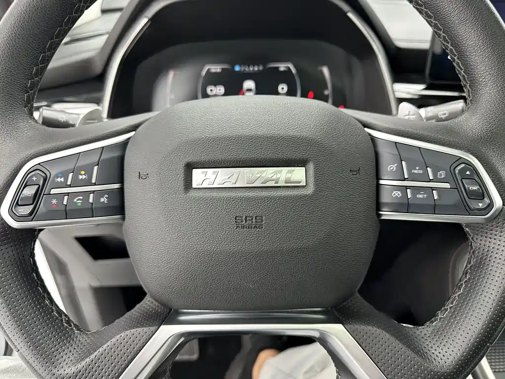 Haval H6 2021 — фото 15