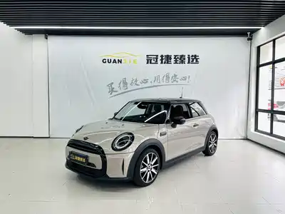 MINI MINI 2021