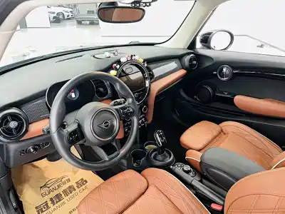 MINI MINI 2021