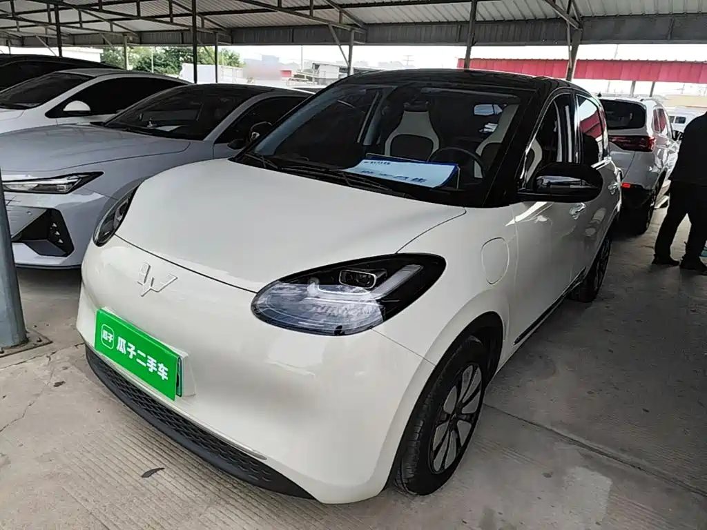 Wuling Bingo 2024