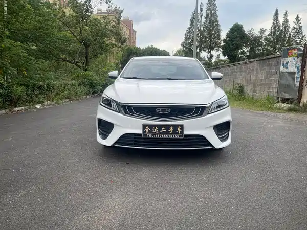 Geely Binrui 2019