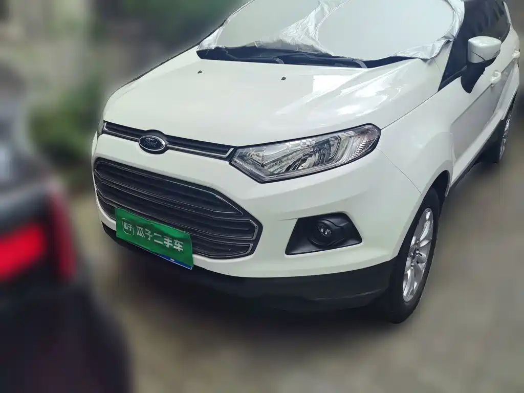 Ford EcoSport 2015 — фото 24