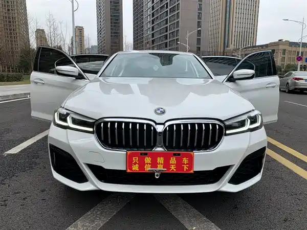 BMW 5 Series 2022
