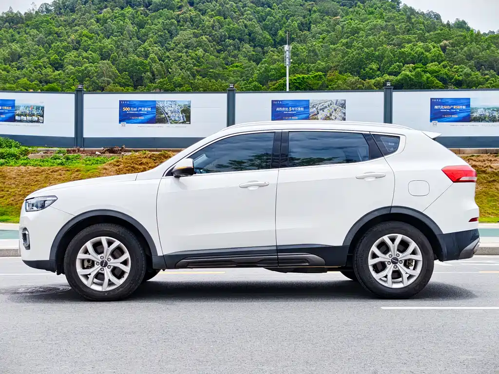 Haval H6 2019 — фото 10