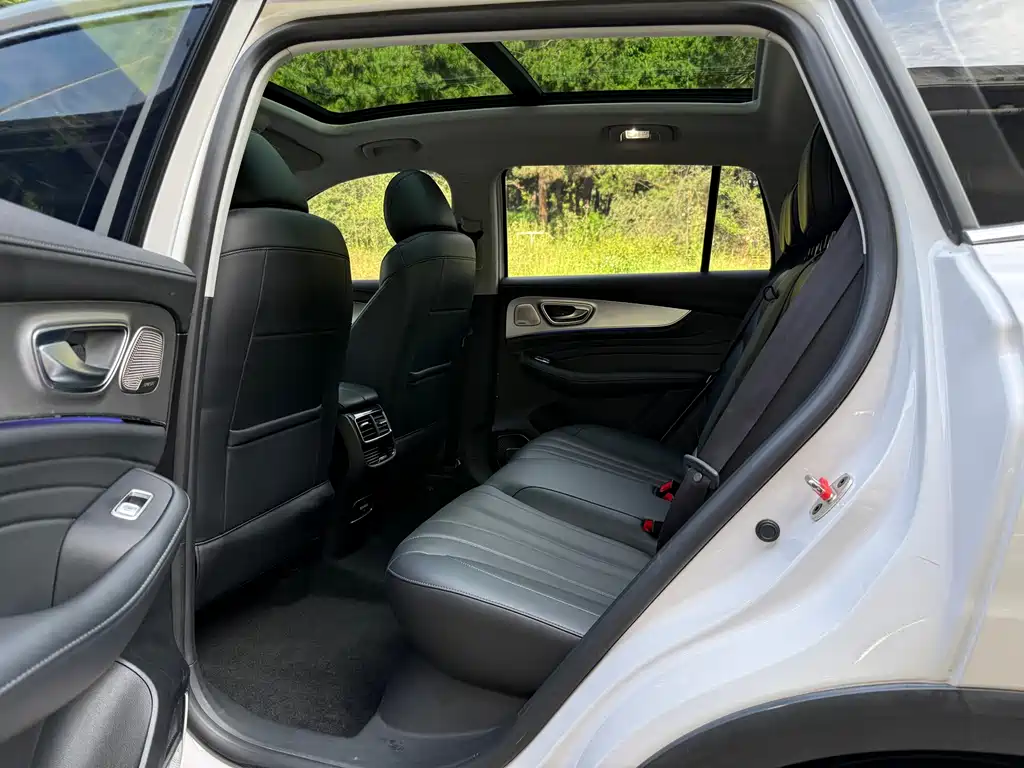 Roewe RX5 MAX 2020 — фото 8
