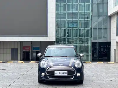 MINI MINI 2018