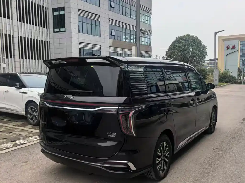 Hongqi HQ9 PHEV 2024 — фото 15