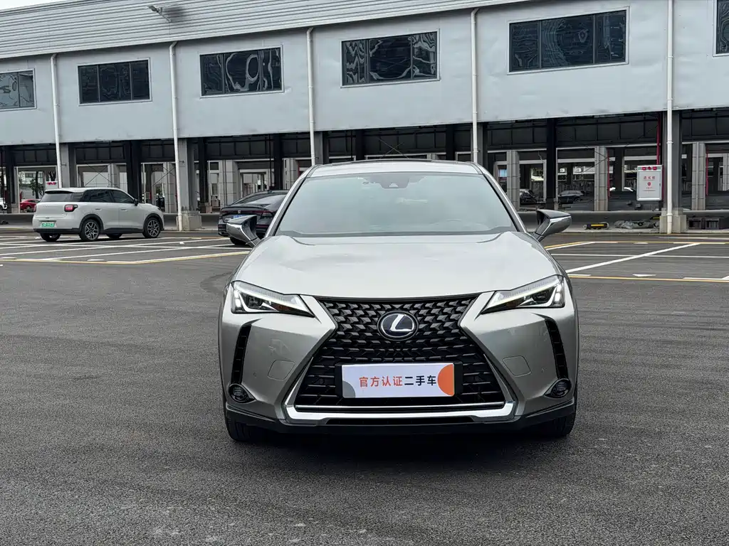 Lexus UX New Energy 2023 — фото 2