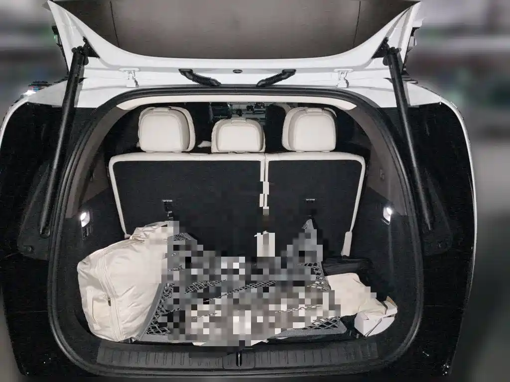 Li Auto MEGA 2025 — фото 15
