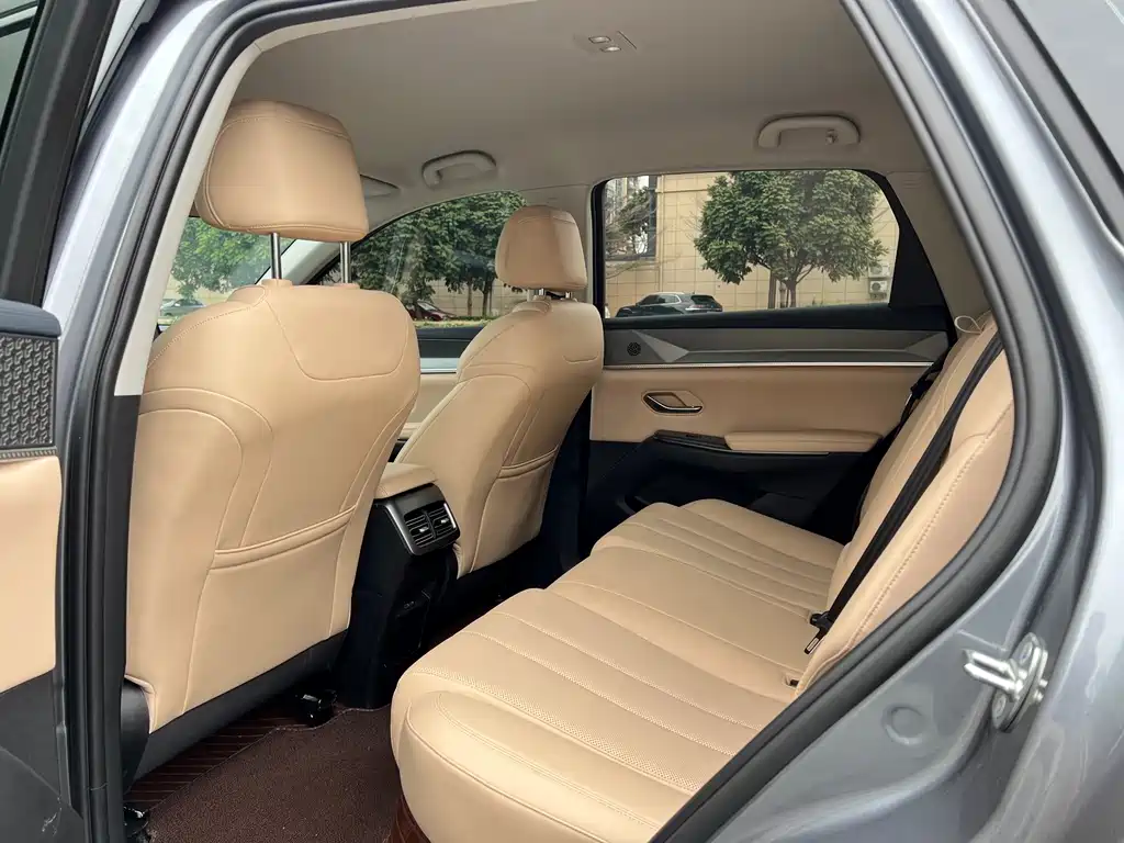 BYD Song Pro New Energy 2024 — фото 12