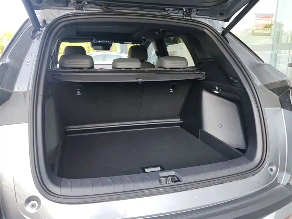 BYD L DM-i 2025 — фото 19