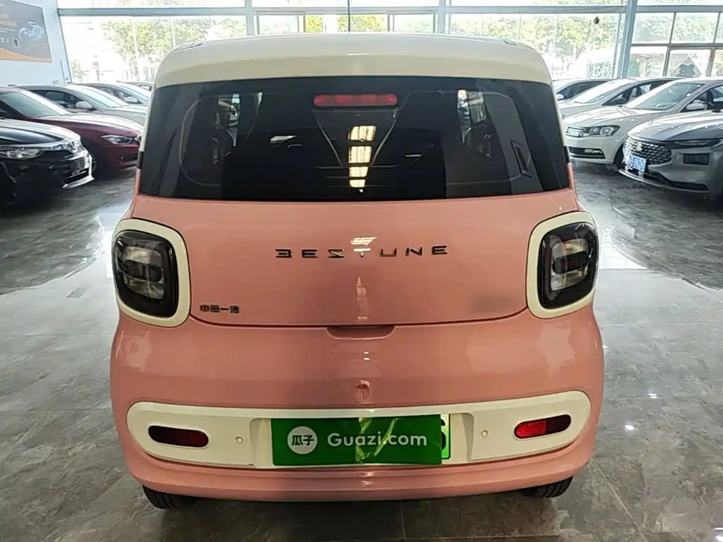 Bestune Pony 2024