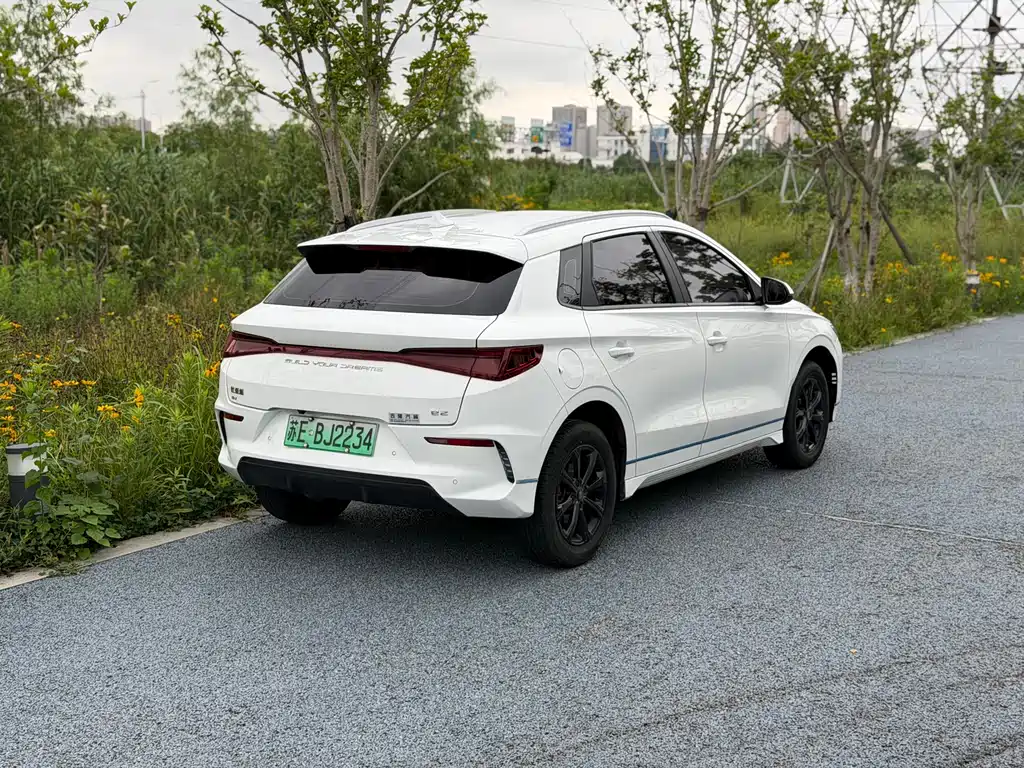 BYD e2 2020