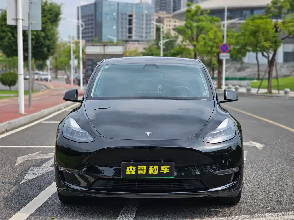Tesla Model Y 2023 — фото 2