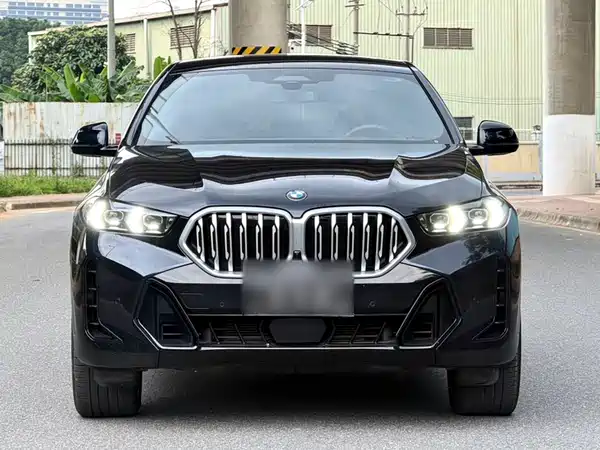 BMW X6 2024