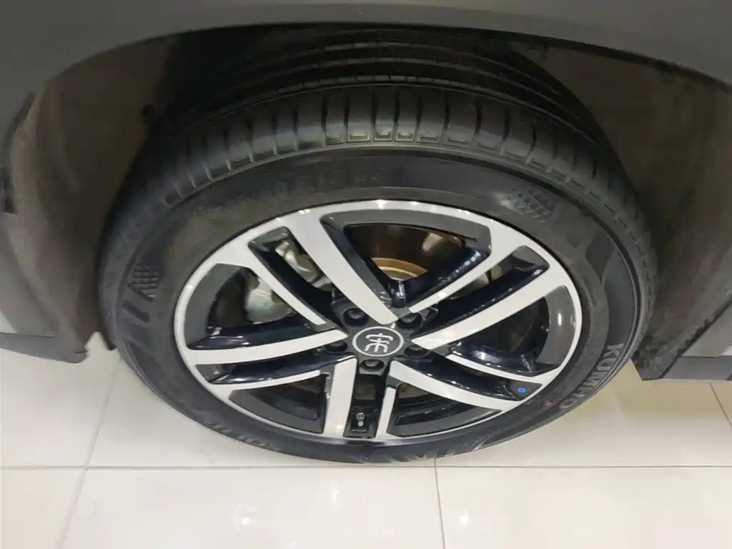 BYD L DM-i 2025 — фото 23