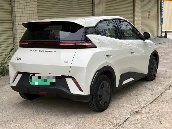 BYD Seagull 2024