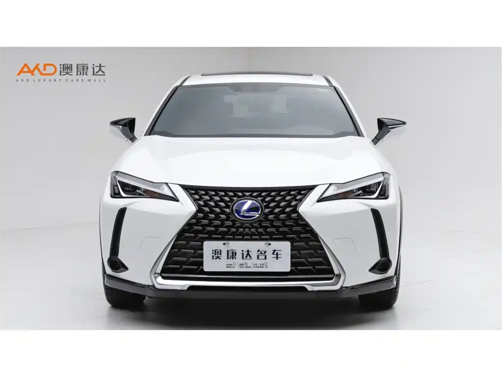 Lexus UX 2019
