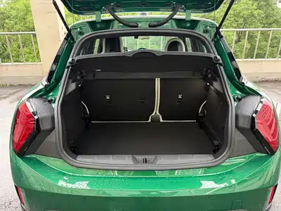 MINI MINI 2025