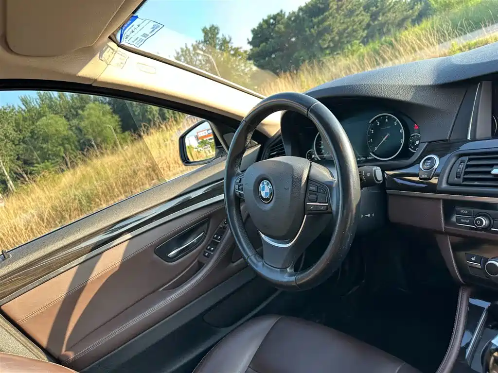 BMW 5 Series 2016 — фото 19