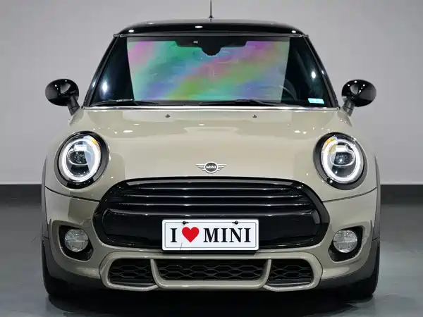 MINI 2019