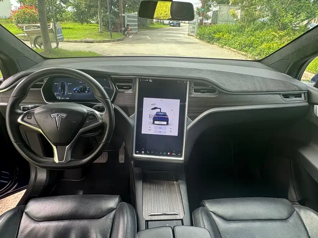 Tesla Model X 2016 — фото 9