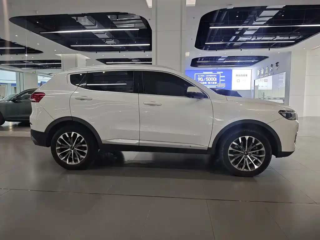Haval H6 2020 — фото 10
