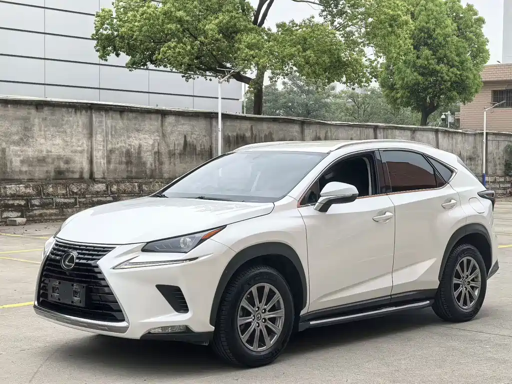 Lexus NX 2021 — фото 1