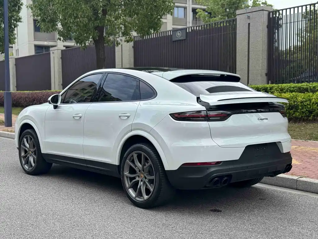Porsche Cayenne 2022 — фото 13
