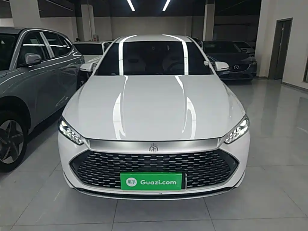 BYD Qin PLUS 2023 — фото 3