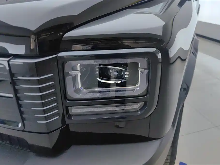 Haval Menglong New Energy 2025
