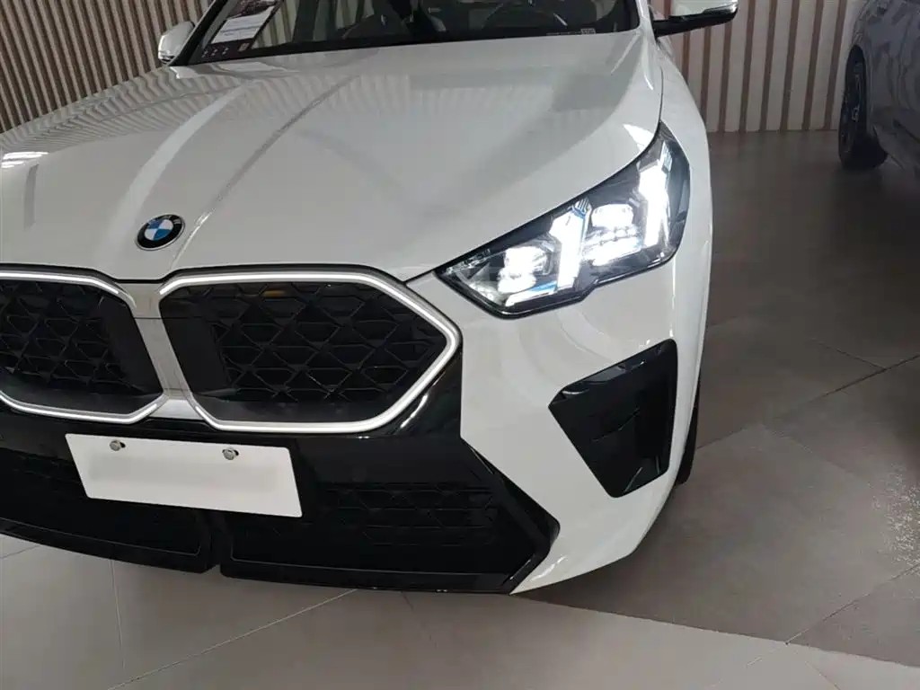 BMW X2 2025 — фото 24
